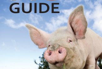 Raising Pigs for Meat